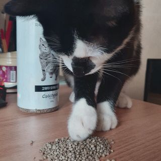 쏘뜬님이 올린 리뷰 사진 1