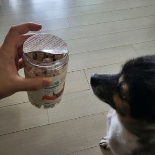 항항항님이 올린 리뷰 사진 2