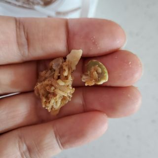 영님이 올린 리뷰 사진 4