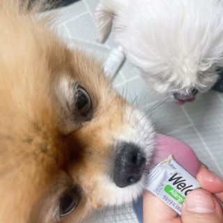 삐약삐삐약님이 올린 리뷰 사진 1
