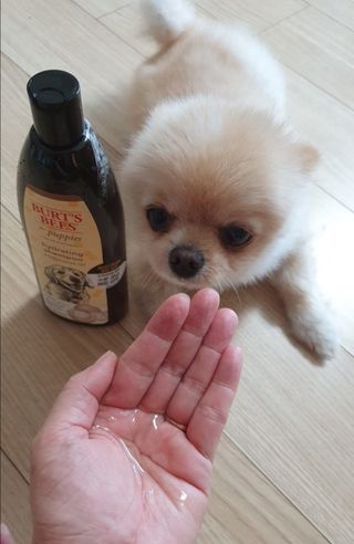 보미누나님이 올린 리뷰 사진 2