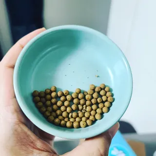 Robin님이 올린 리뷰 사진 3