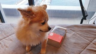 좋아님이 올린 리뷰 사진 2