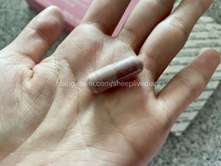 김수지님이 올린 리뷰 사진 2