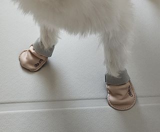 Lily님이 올린 리뷰 사진 2