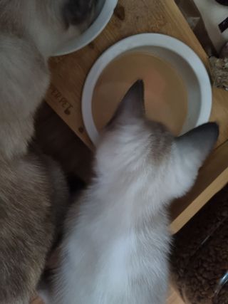 라라라님이 올린 리뷰 사진 1
