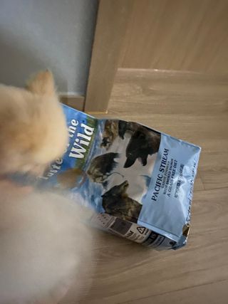 ㄹ발음님이 올린 리뷰 사진 4
