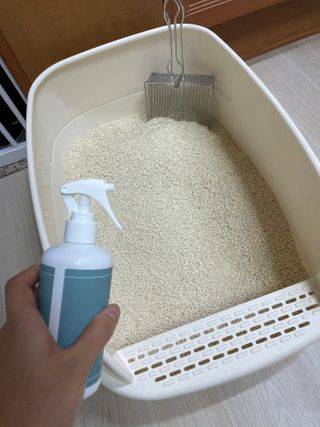 SanghyukCha님이 올린 리뷰 사진 1