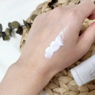 댑빵이님이 올린 리뷰 사진 2