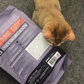 고고고님이 올린 리뷰 사진 3