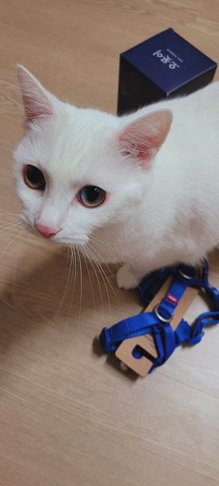 대박이님이 올린 리뷰 사진 4