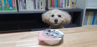 새돌댕댕님이 올린 리뷰 사진 1