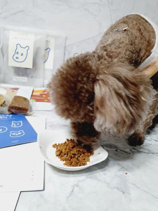 달콤오기님이 올린 리뷰 사진 4