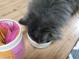 페페로니 맛있는 스틱 - 무항생제 닭고기 15개 + 알래스카 연어 15개 — 5점을 준 리뷰어가 2021년 8월 올린 사용 사진