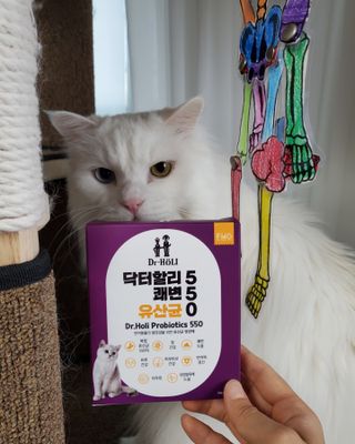 으하하하하님이 올린 리뷰 사진 2