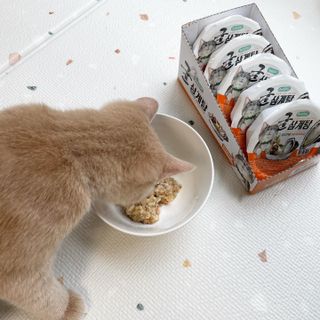 루하님이 올린 리뷰 사진 4