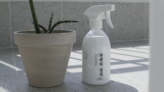 편백의정석 편백의 정석, 피톤치드스프레이 살균 천연 탈취제 집먼지 진드기 이불 침대 매트리스 새집중후군 천연 살균제 — 5점을 준 리뷰어가 2021년 4월 올린 사용 사진