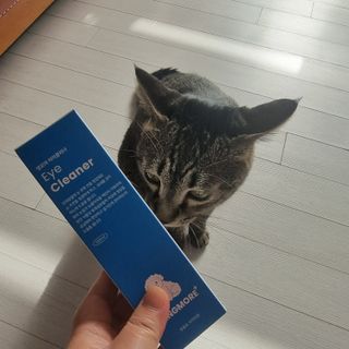 [댕모어 클리너 3종] 아이클리너 / 이어클리너 / 덴탈클리너 3종 세트 (120ml) — 5점을 준 리뷰어가 2023년 11월 올린 사용 사진