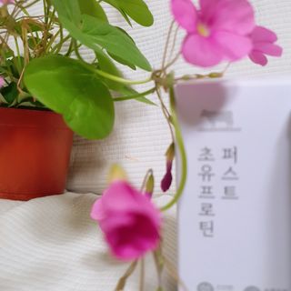 마수리님이 올린 리뷰 사진 2