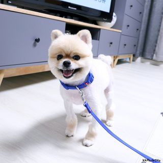 박할미님이 올린 리뷰 사진 4