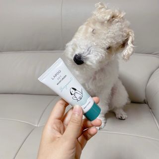 솜솜이2님이 올린 리뷰 사진 1