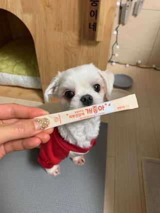 My Pet Care 모발과 모질 피부건강에 개좋아 — 4.5점을 준 리뷰어가 2020년 12월 올린 사용 사진