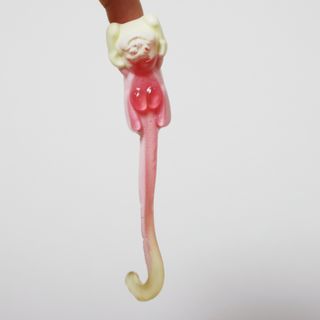 송린깡님이 올린 리뷰 사진 2