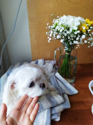 엄하늘님이 올린 리뷰 사진 3