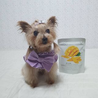 솜희님이 올린 리뷰 사진 3