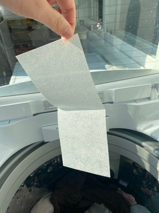 [올가드] 이염방지 세탁시트(100매입) 1BOX — 5점을 준 리뷰어가 2023년 2월 올린 사용 사진