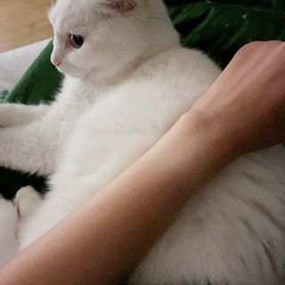 jyerin님이 올린 리뷰 사진 2