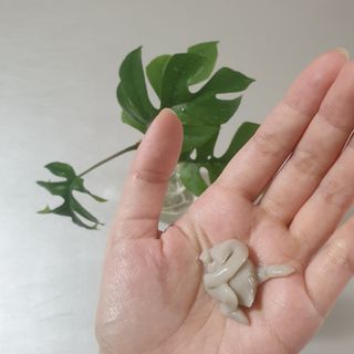 바이올라님이 올린 리뷰 사진 2