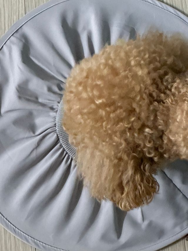 제로넥카라 리뷰 사진