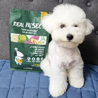 신원경님이 올린 리뷰 사진 1