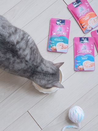 비타크래프트 고양이 수프 50g 3가지맛 x4팩씩 총 12팩 — 5점을 준 리뷰어가 2021년 9월 올린 사용 사진