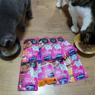 비타크래프트 포에시 델리스 고양이 파우치 85g 9가지맛 1팩씩 — 5점을 준 리뷰어가 2021년 8월 올린 사용 사진