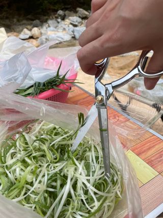 투워니맘님이 올린 리뷰 사진 1