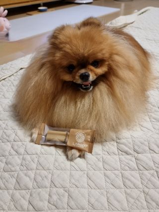 아롱이님이 올린 리뷰 사진 4