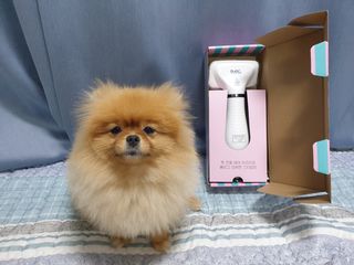 퍼스트캠퍼님이 올린 리뷰 사진 1