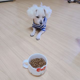 슝늉님이 올린 리뷰 사진 4
