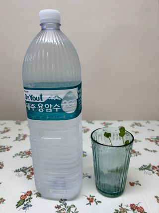 바노피파이님이 올린 리뷰 사진 1