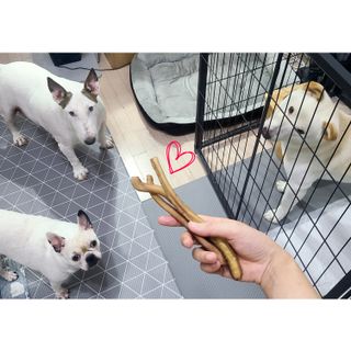 콩콩님이 올린 리뷰 사진 2
