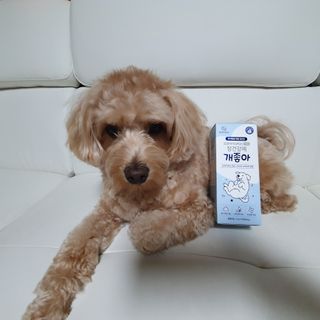 My Pet Care 장건강에 개좋아 — 5점을 준 리뷰어가 2021년 1월 올린 사용 사진