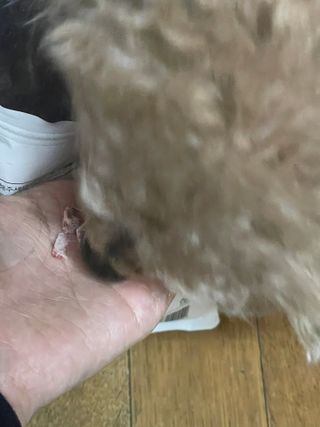 BakVeronica님이 올린 리뷰 사진 3