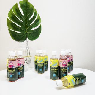 더그레잇티 콤부차 [매일유업] 더그레잇티 44kcal 콤부차 300ml *12개입 (오리지널 6개+베리리치 6개) — 5점을 준 리뷰어가 2023년 7월 올린 사용 사진