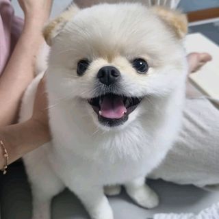 밍기님이 올린 리뷰 사진 2