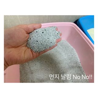똥비님이 올린 리뷰 사진 3