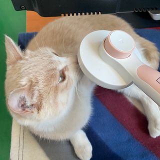 보니보니님이 올린 리뷰 사진 2