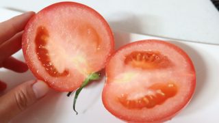 레드닥터 완숙토마토 + 통째로 동결건조한 대추방울토마토 — 5점을 준 리뷰어가 2022년 12월 올린 사용 사진