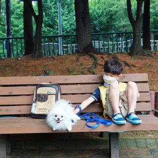 담콩이님이 올린 리뷰 사진 2